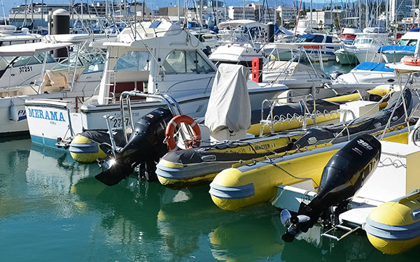 Electric & Petrol Outboards Tested and Compared