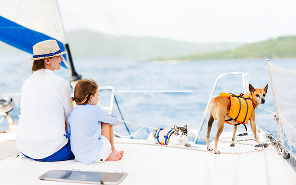 Animals on Board