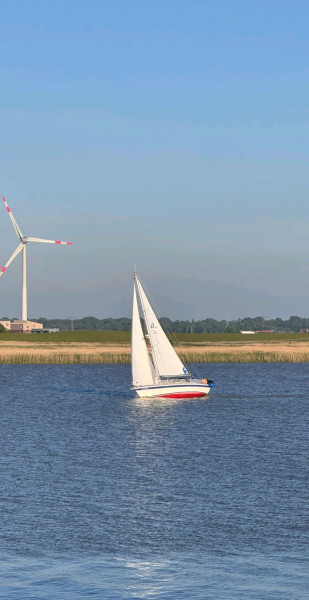 boat-image