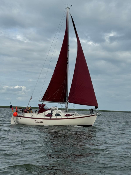 boat-image