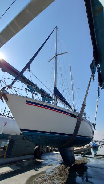 boat-image
