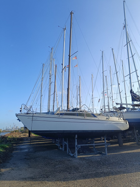boat-image