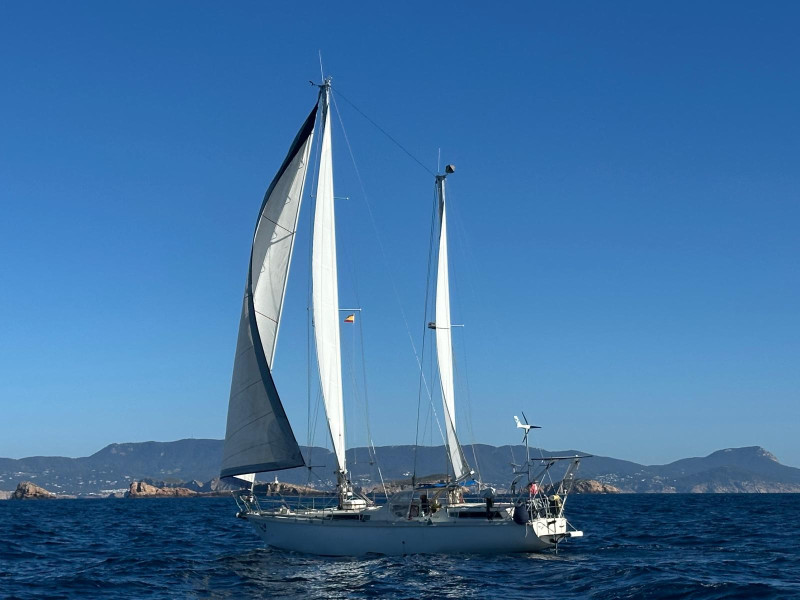 boat-image