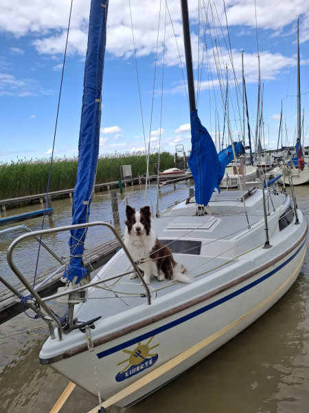 boat-image