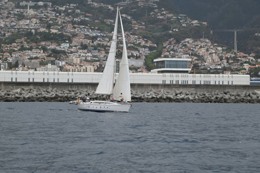 boat-image