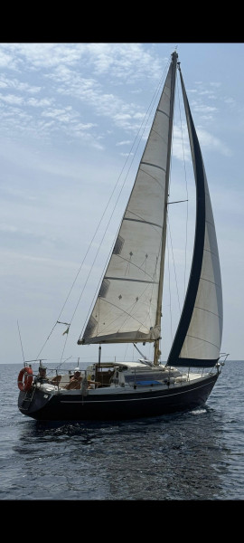 boat-image