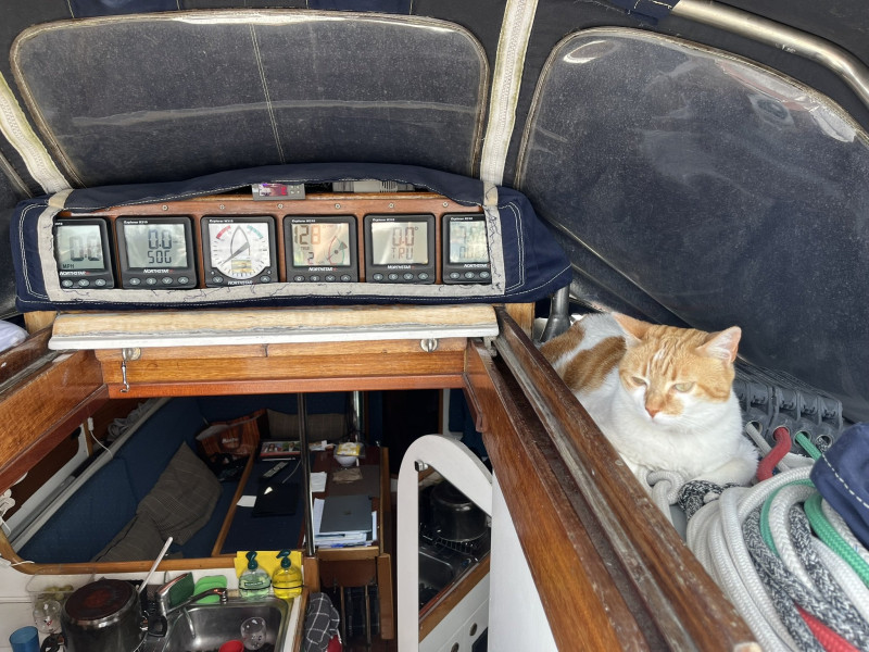 boat-image