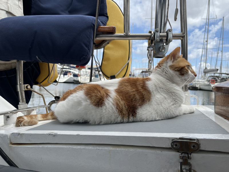 boat-image