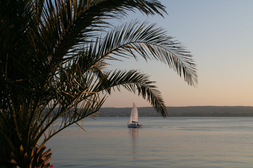 boat-image