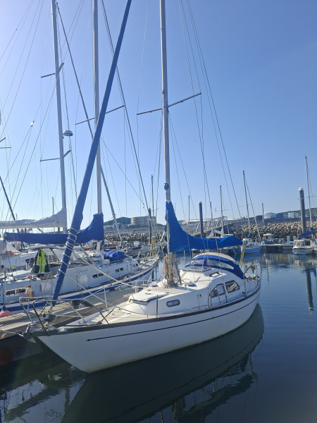boat-image