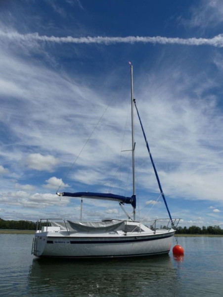 boat-image