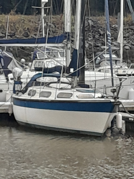 boat-image