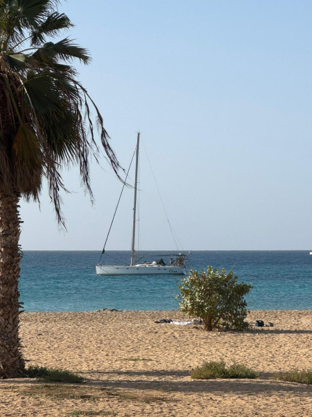 boat-image