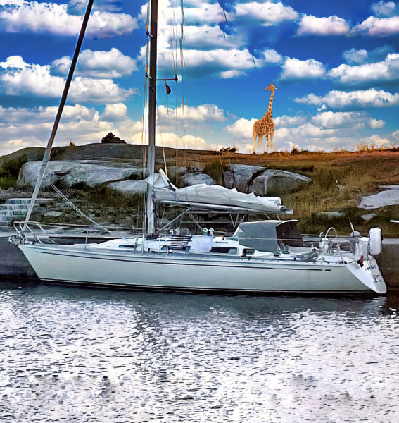 boat-image