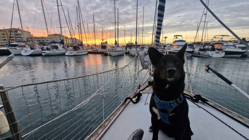 boat-image