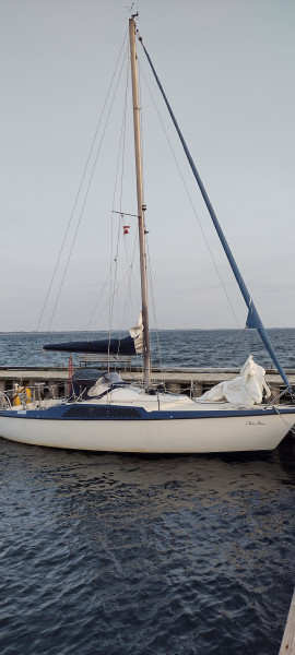 boat-image
