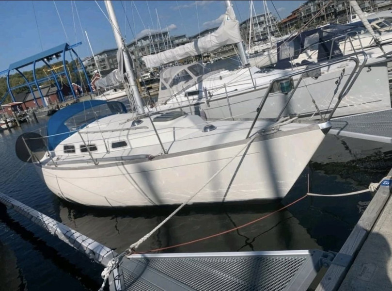 boat-image