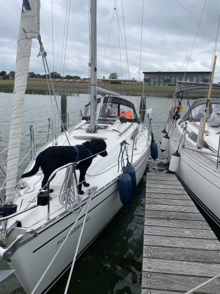 boat-image