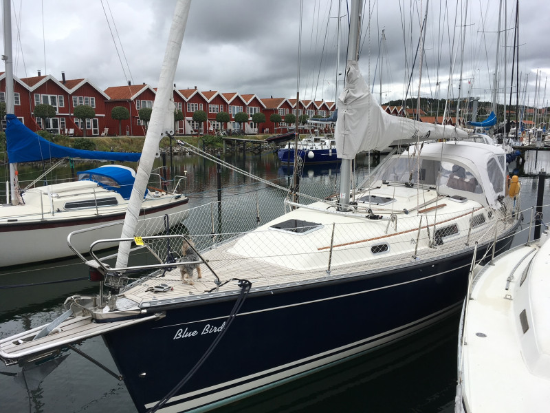 boat-image