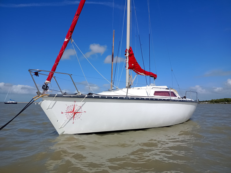boat-image