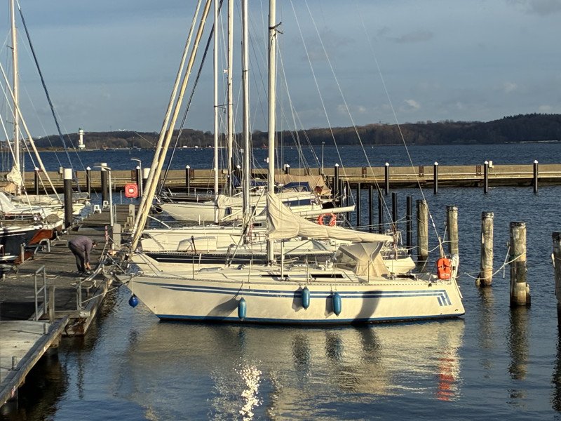 boat-image