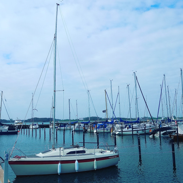 boat-image