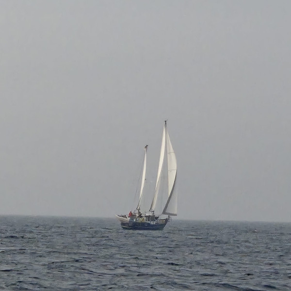 boat-image