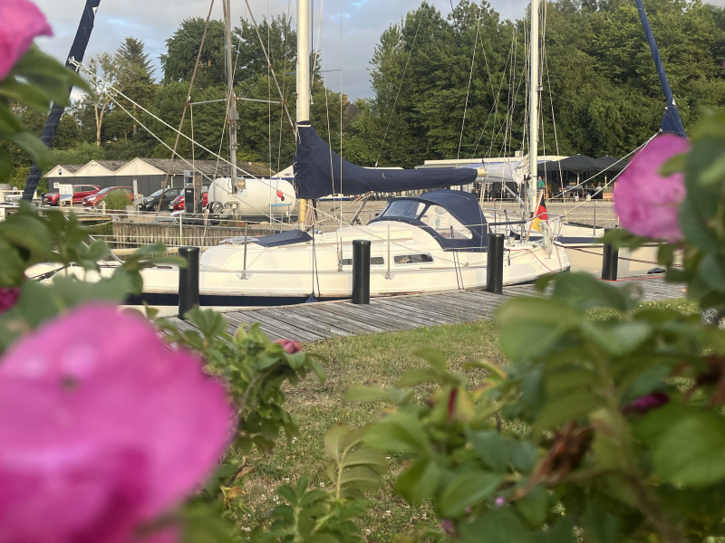 boat-image