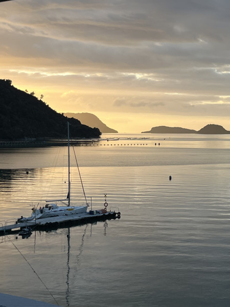 boat-image
