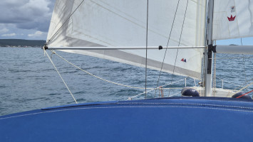 Image 2 of 3