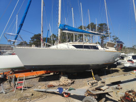 Image 1 of 7