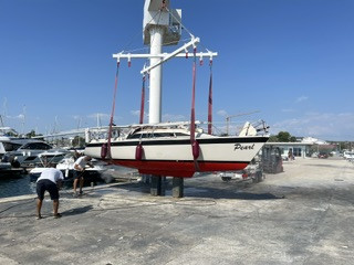 Image 2 of 7