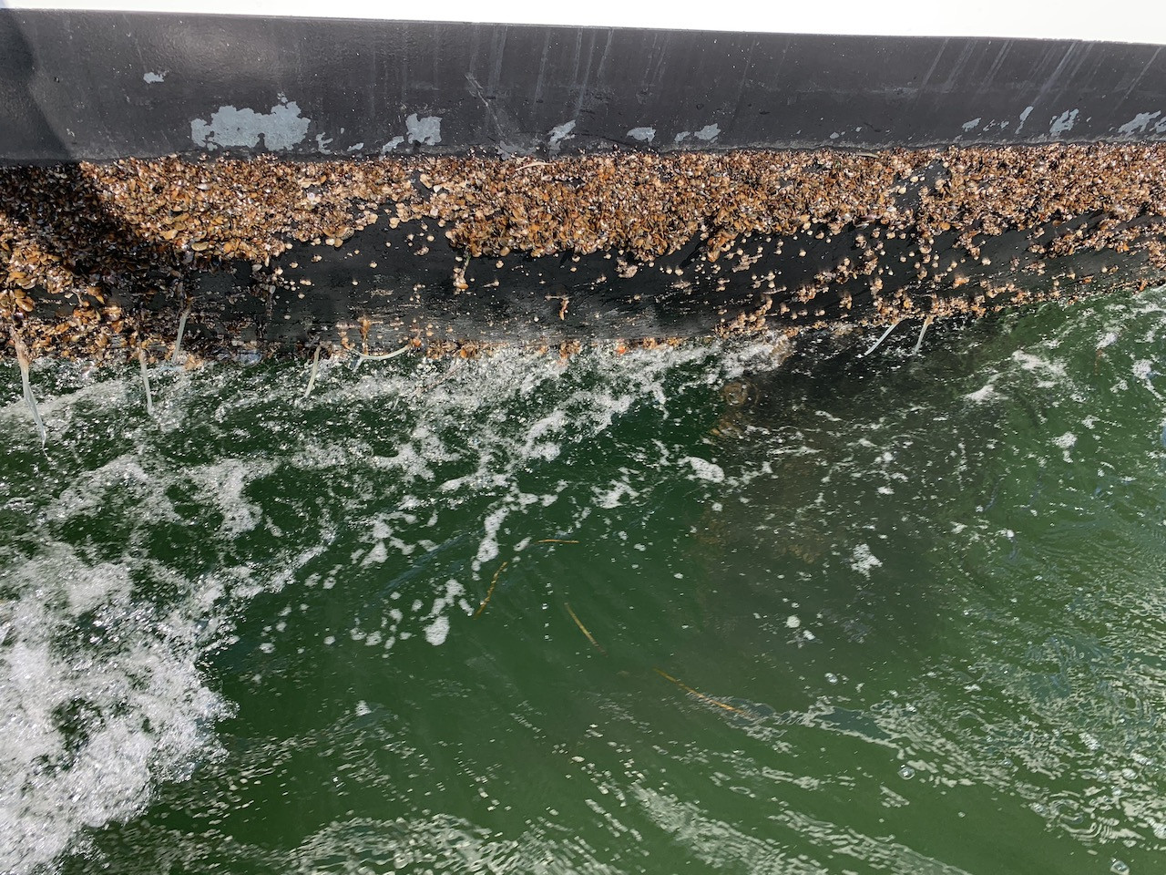 Image 6 of 8