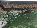 Image 6 of 8
