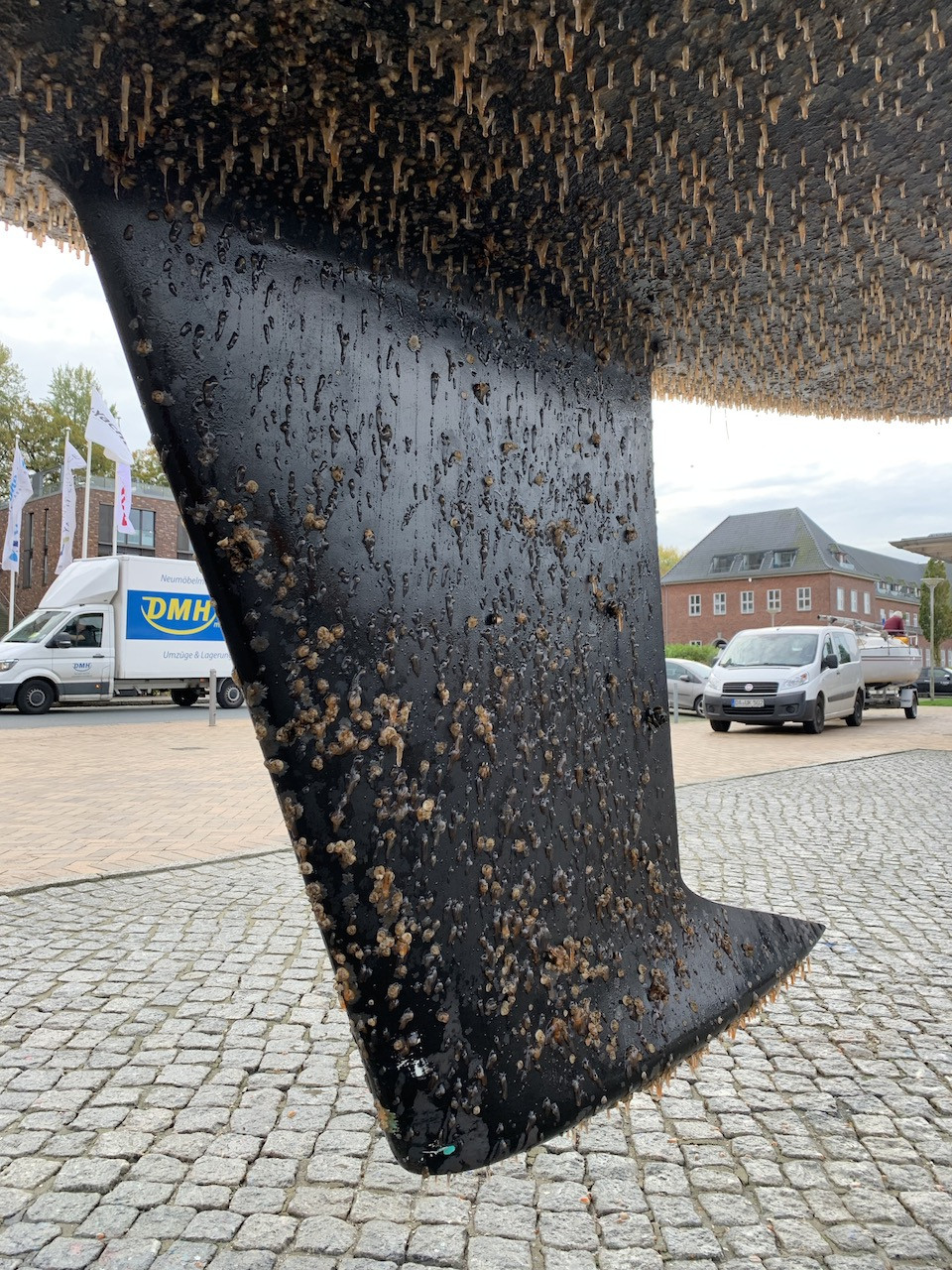 Image 8 of 8