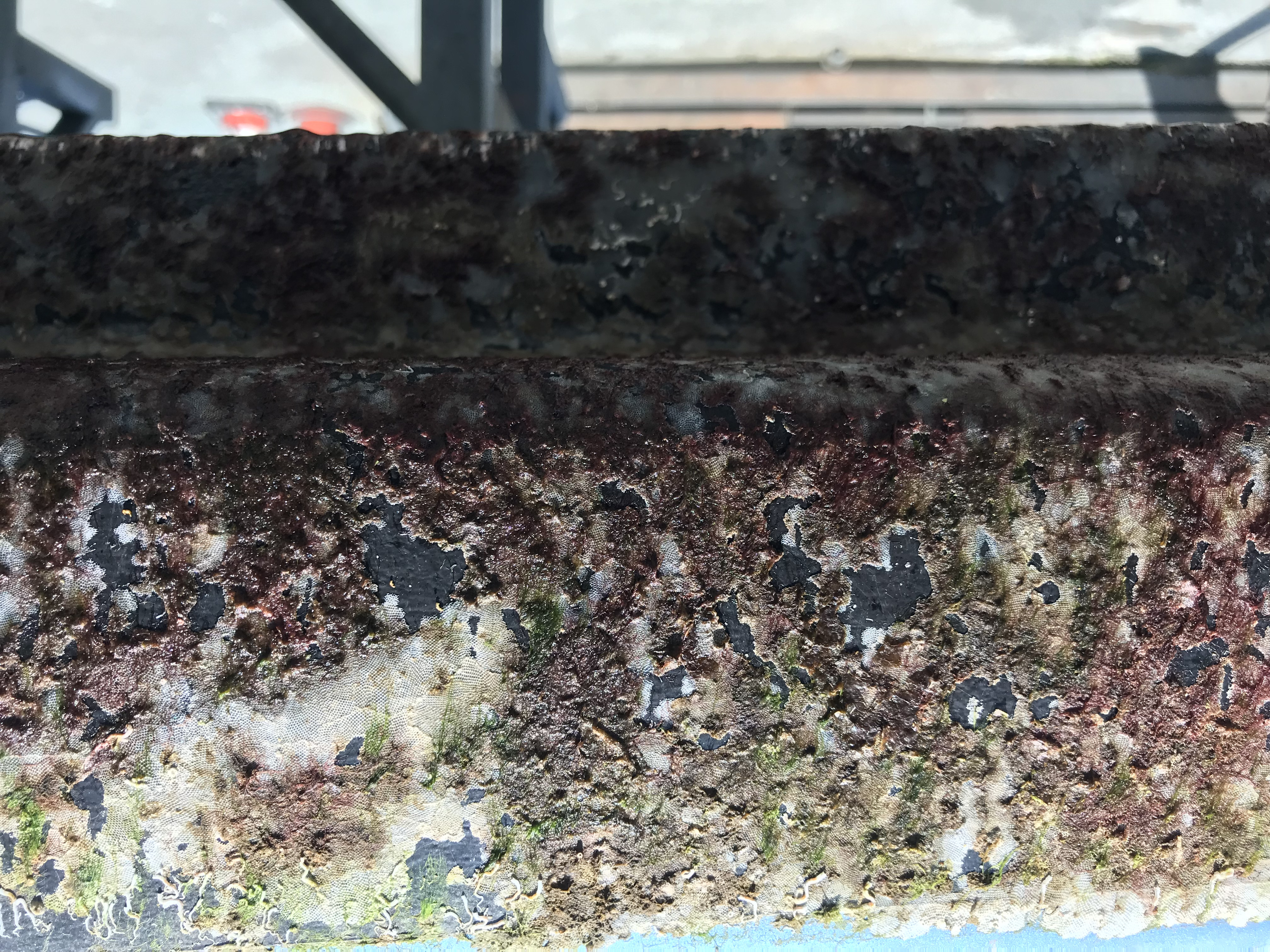 Image 5 of 8