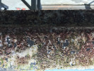 Image 5 of 8