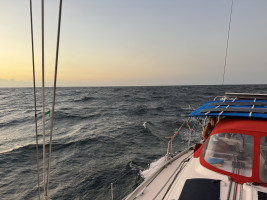 Image 2 of 2